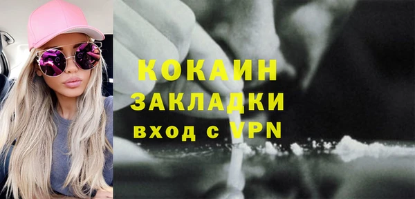шишки Абаза
