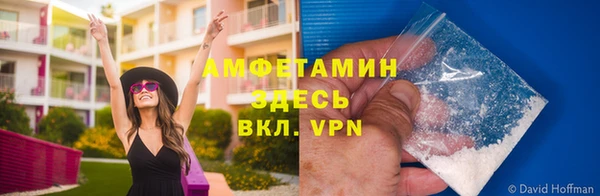 шишки Абаза
