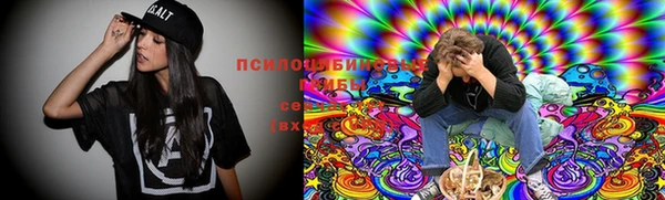 шишки Абаза