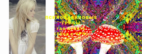 круглые Рославль